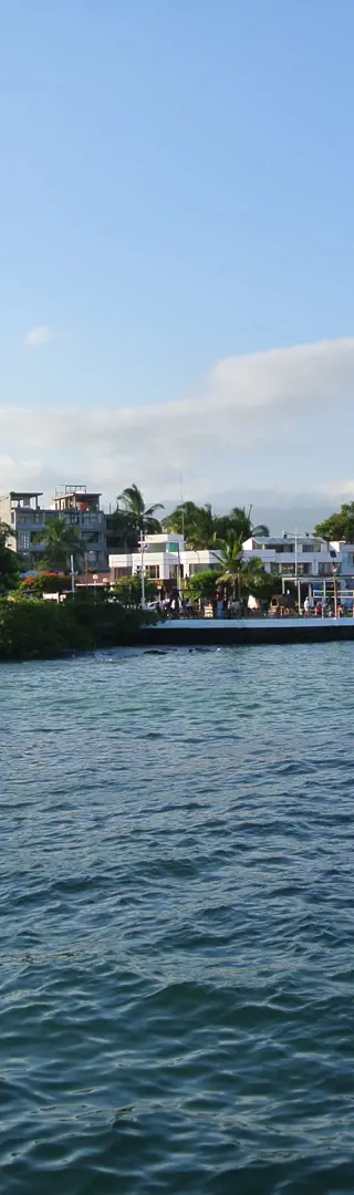 Santa Cruz - Galapagos